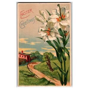1911 Easter Lilies Postcard Tripoli Iowa Postmark Embossed MAB Germany